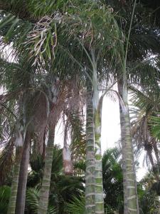 IMG_6868.JPG